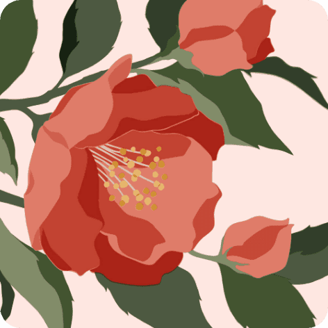 Botanical Illustration Series