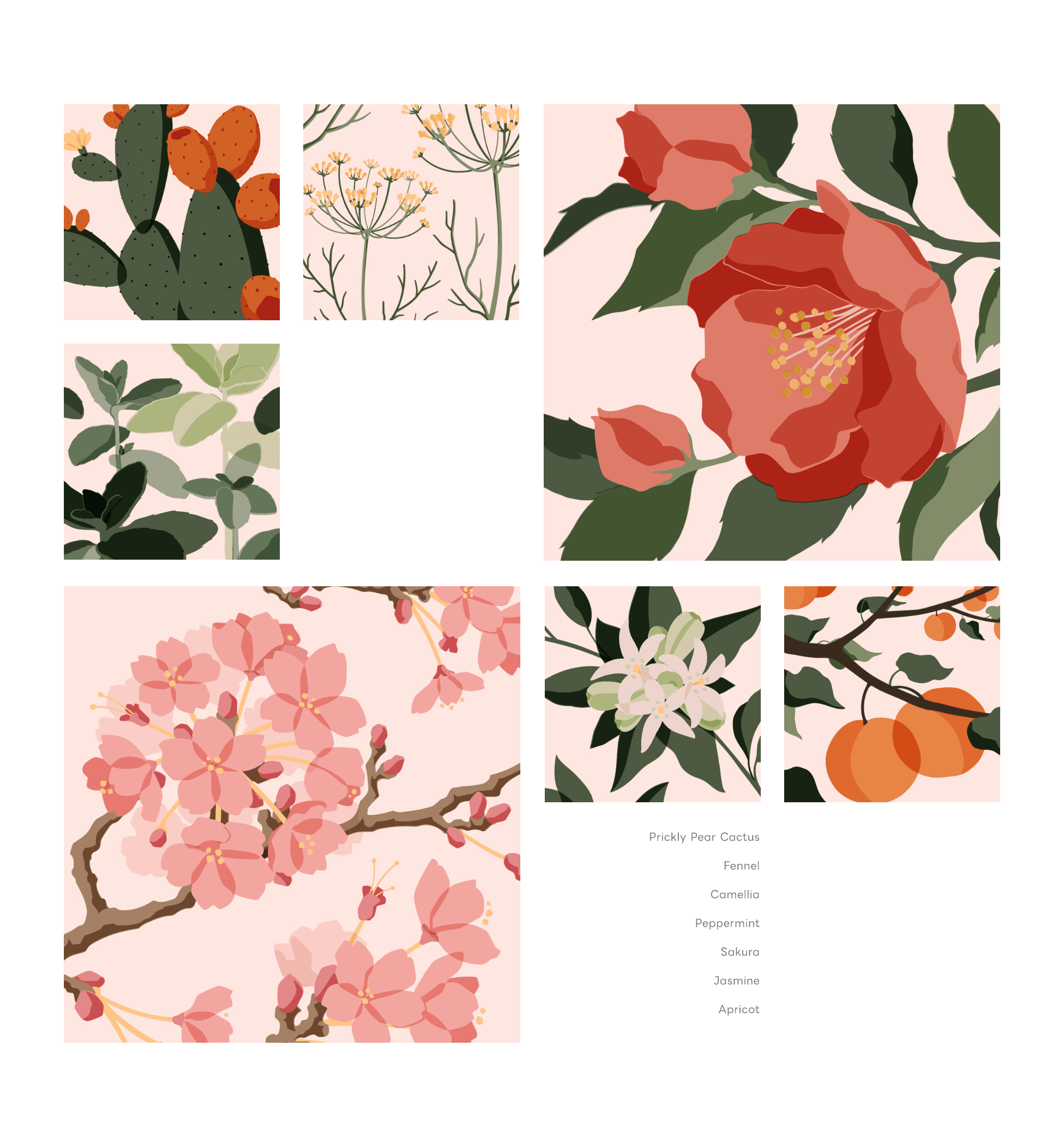 Botanical Illustration Series