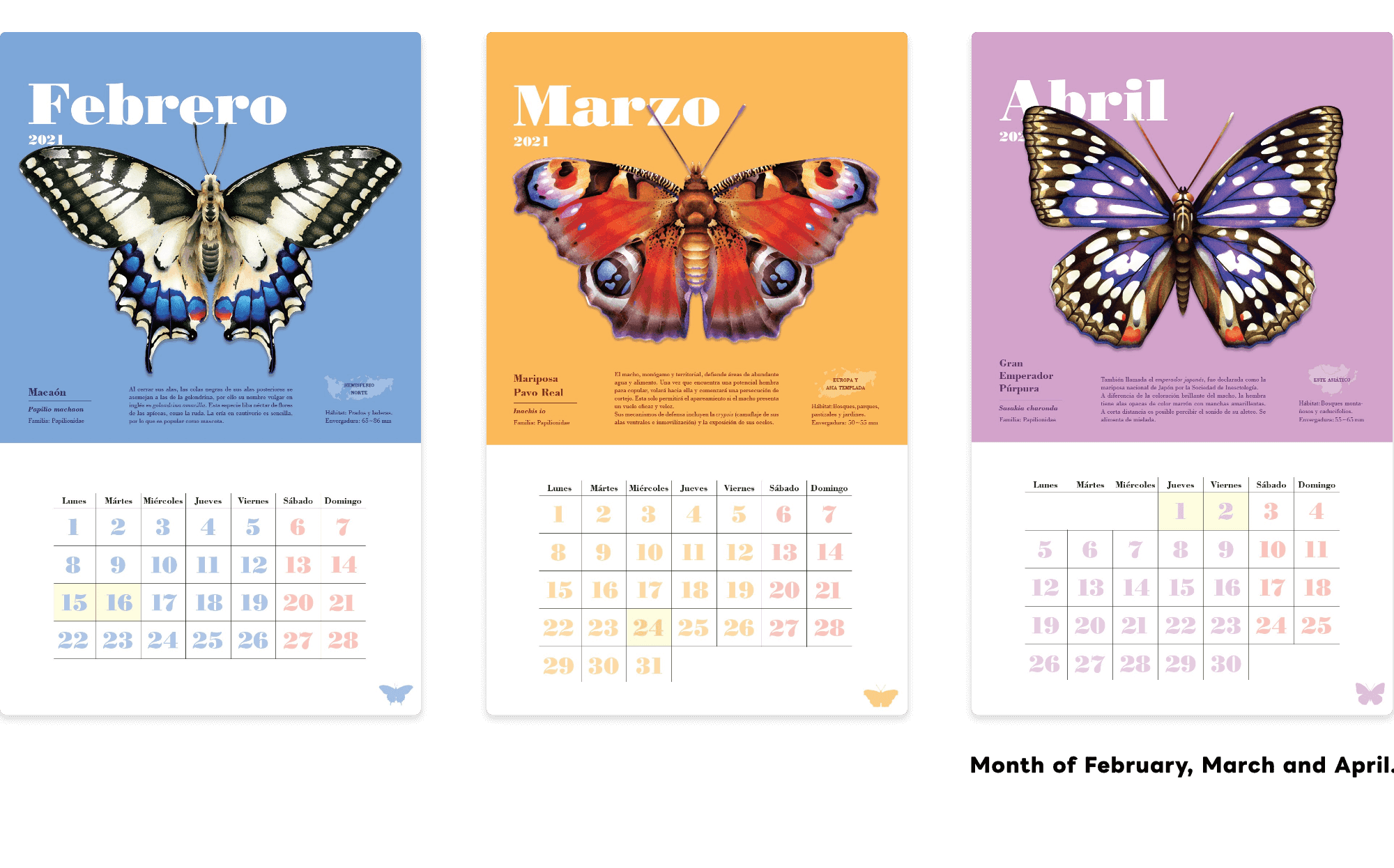 Butterfly Series