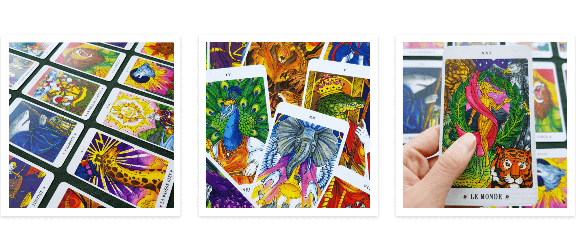 Major Arcana - Animaux Royaux Collection