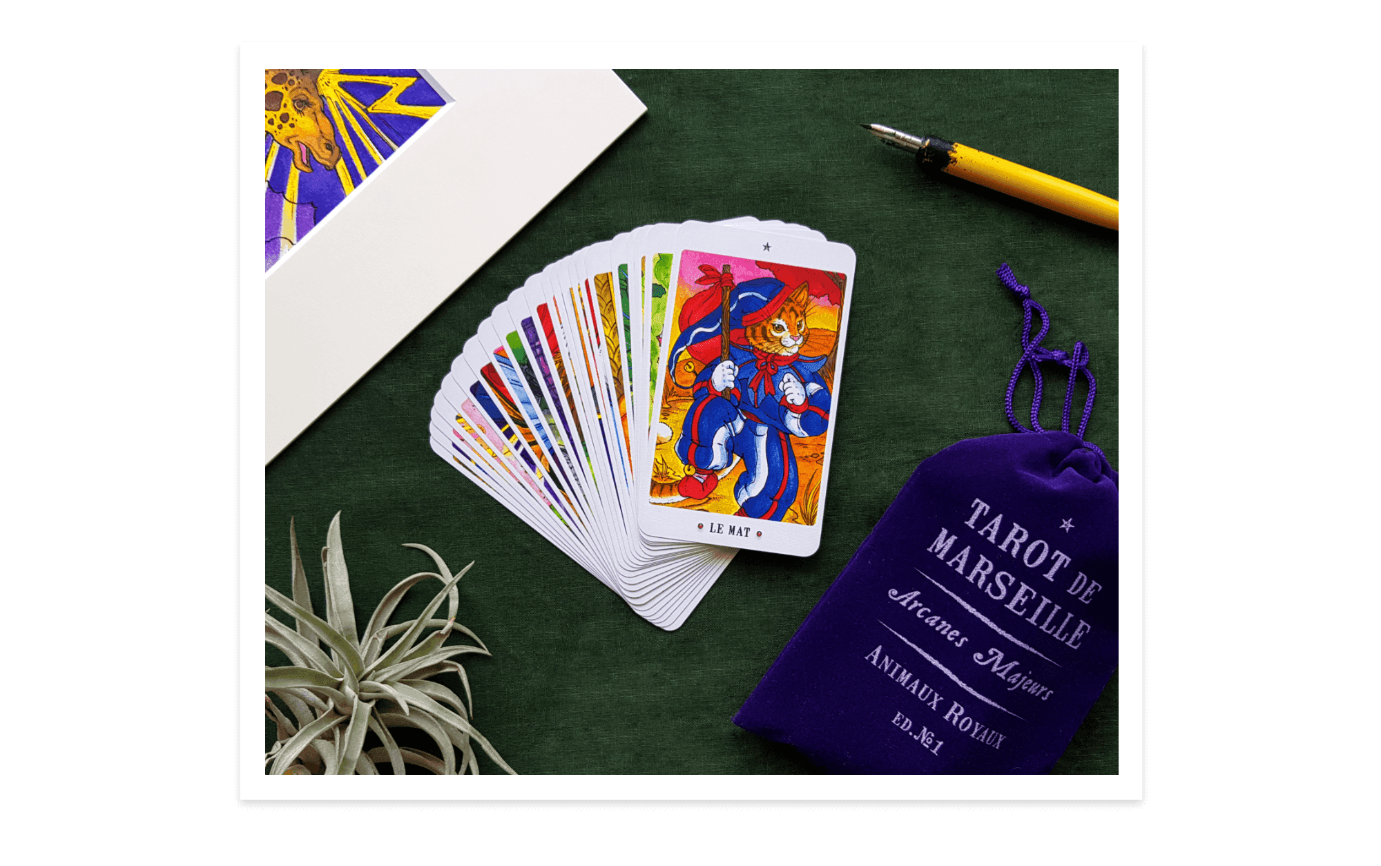 Major Arcana - Animaux Royaux Collection