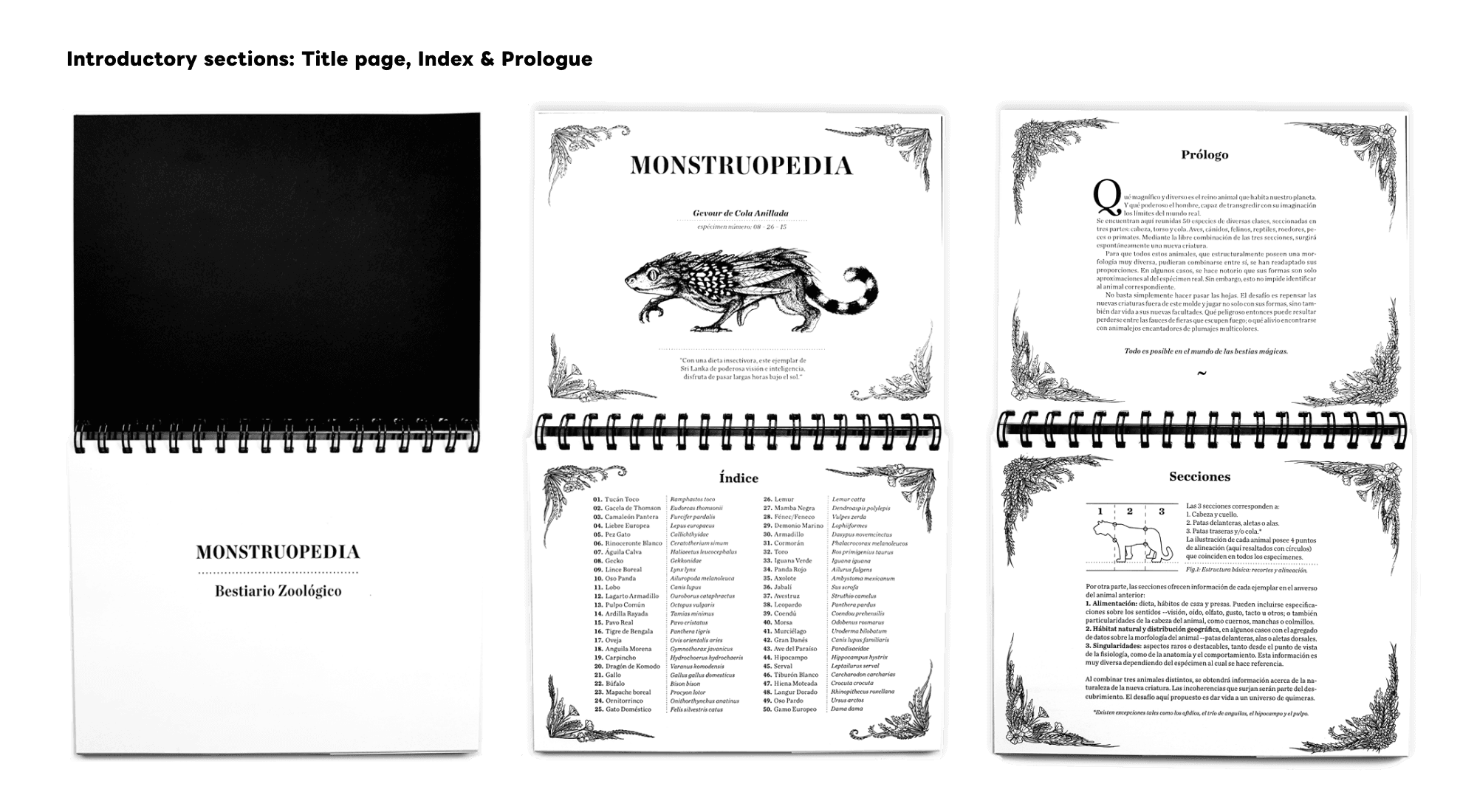 "Monstruopedia" Mix&Match Book