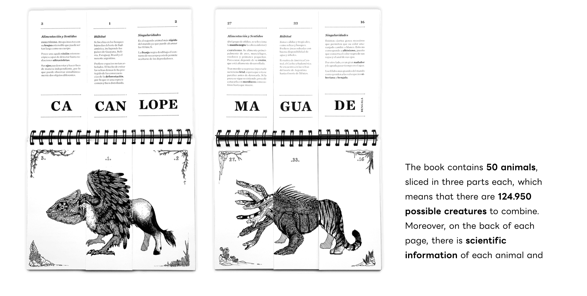 "Monstruopedia" Mix&Match Book