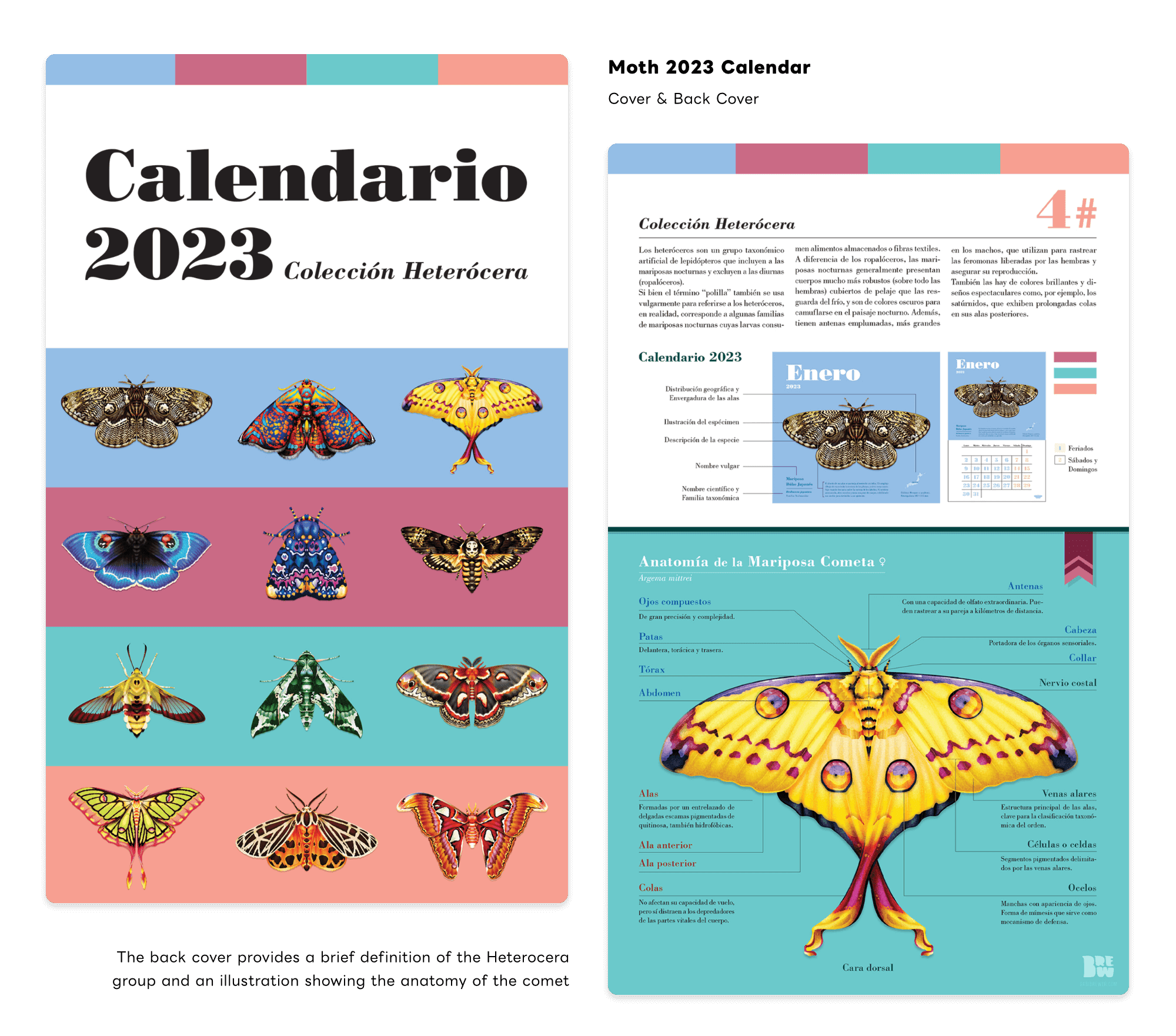 Moth Series