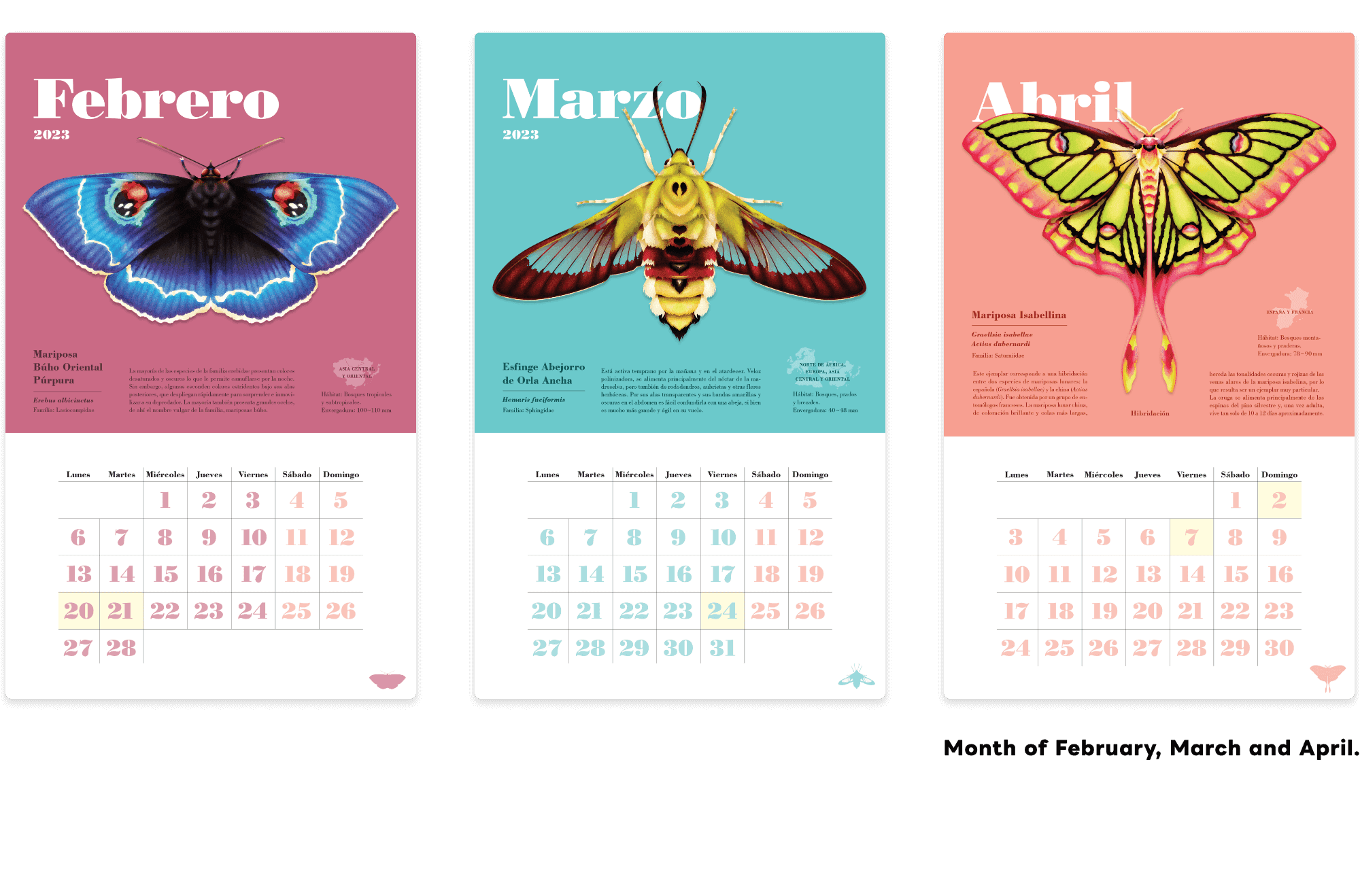 Moth Series